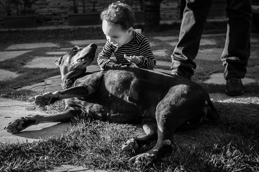 Ensaio fotográfico Gestante em Belo Horizonte registrado pela premiada fotógrafa de família Natália Diniz. Fotografia de Gestante em BH.